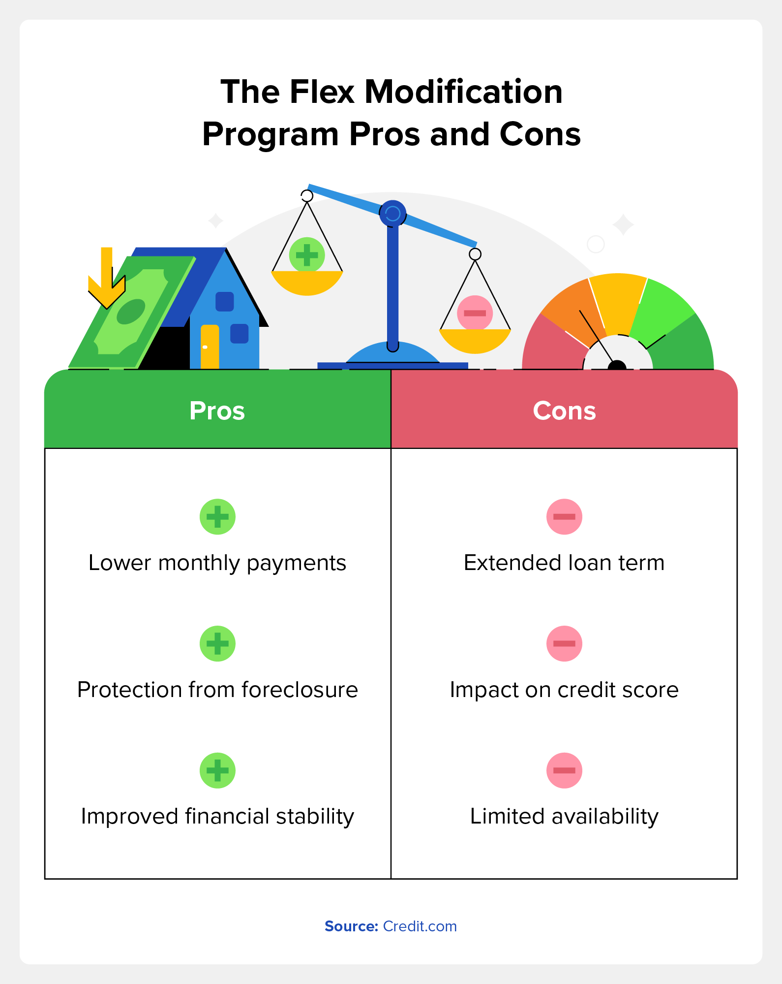 The flex modification program pros and cons