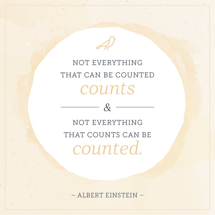 not everything that counts can be counted and not everything that counts can be counted